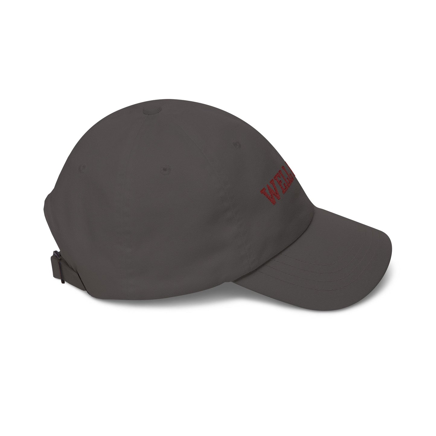 "WELL READ." Embroidered Baseball Hat
