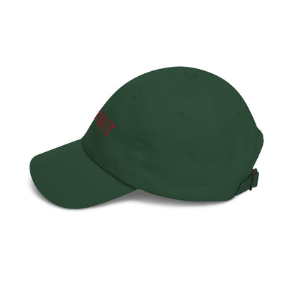 "BARN DAY" Embroidered Baseball Hat