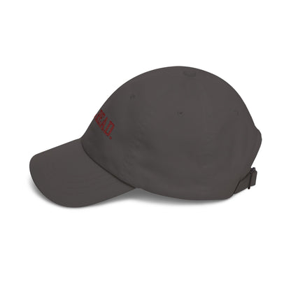 "WELL READ." Embroidered Baseball Hat